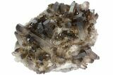 Beautiful, Smoky Quartz Crystal Cluster - Brazil #79930-1